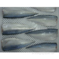 Neue Saison Frozen Pacific Makrele Fischfilets